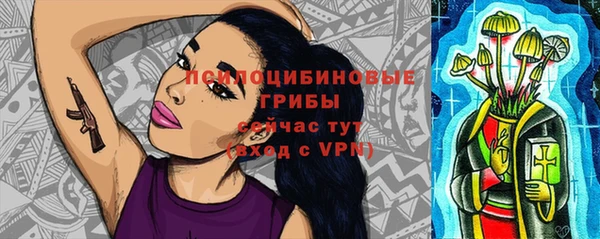эйфоретик Баксан