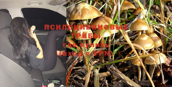 СК Балахна