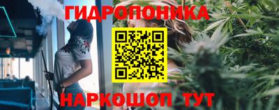 стаф Вязьма